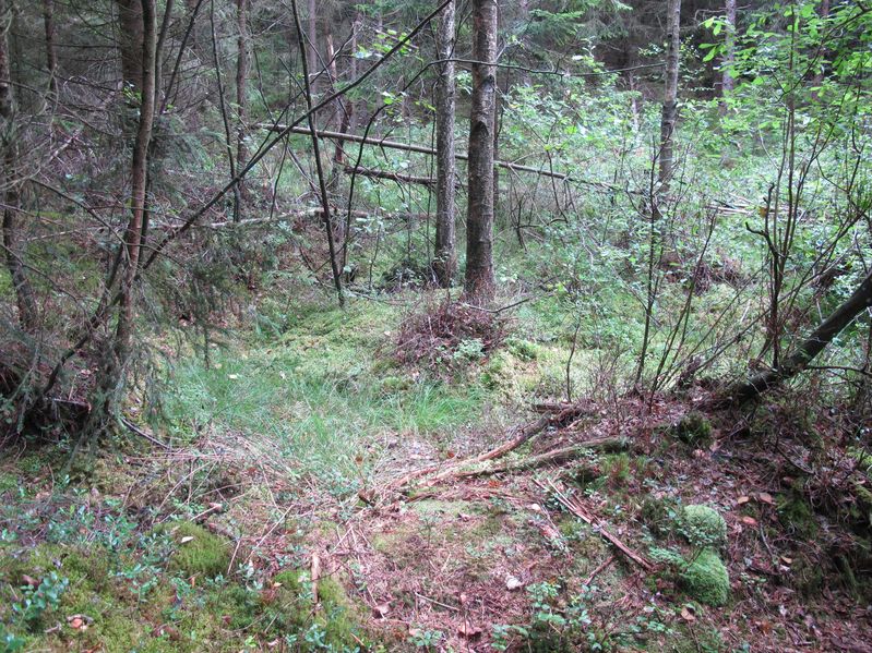 South