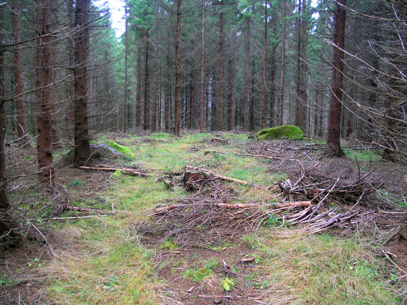 Path leading towards the point