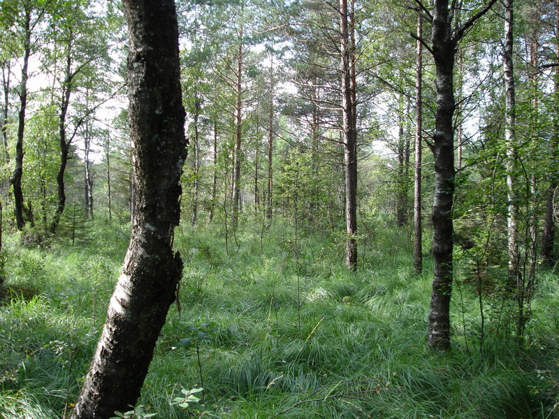 East view