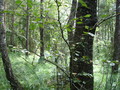 #4: South view
