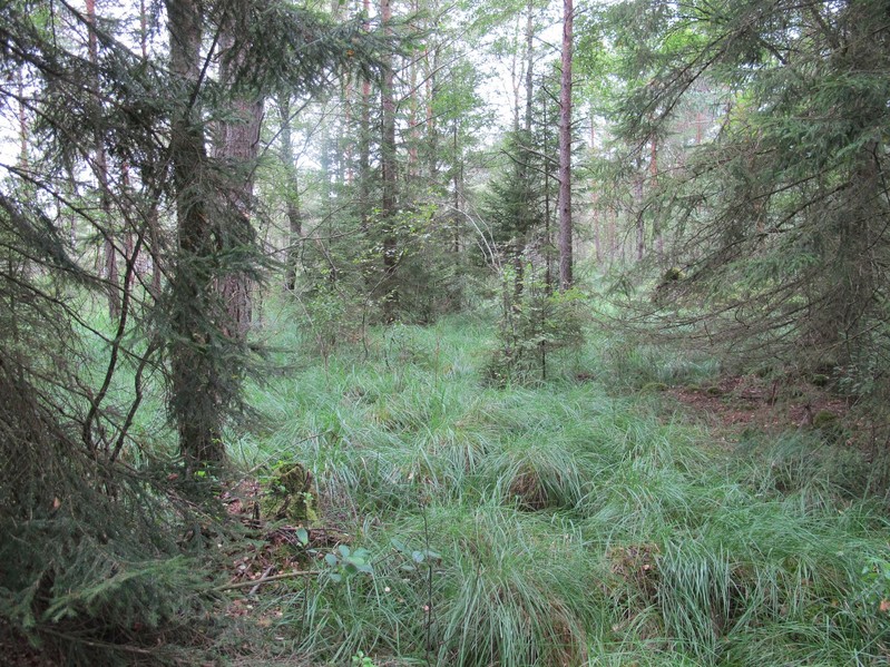 West