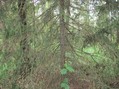 #3: South