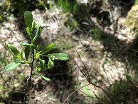 #8: Impressionen