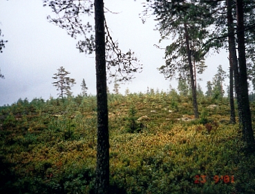 South West view