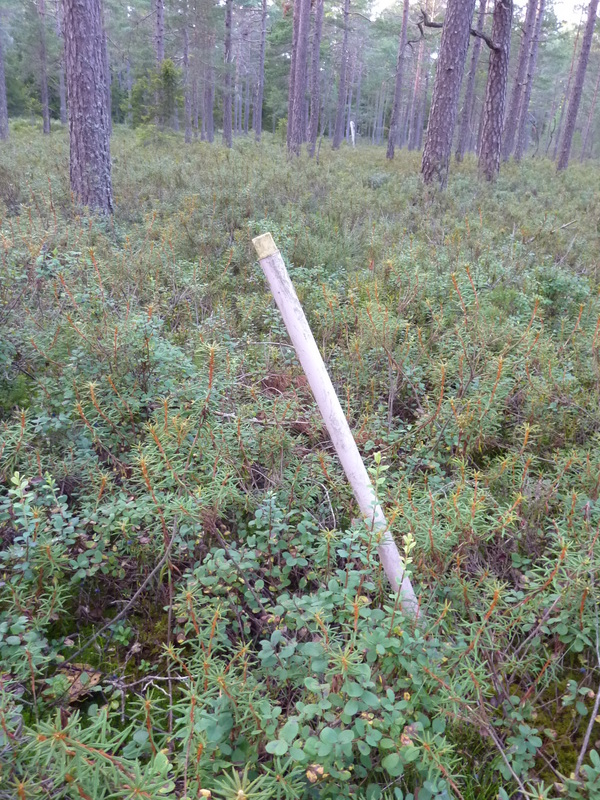 Plastic stick