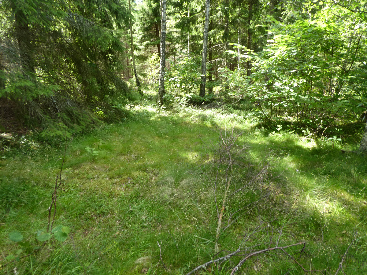 General view