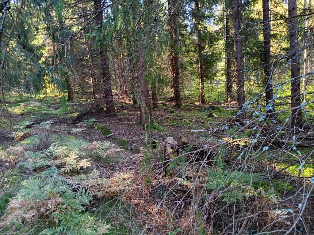 S&uuml;den; view south