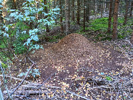 #10: visitors apart me at CP