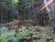 #2: Osten; view east