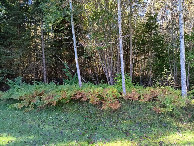 #9: on meadow towards CP