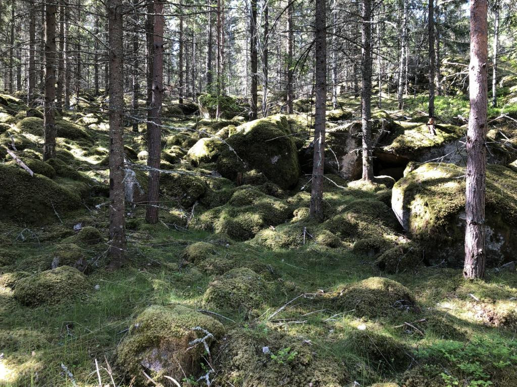 Süd