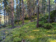 #2: Osten; view east