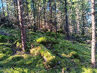 #4: Westen; view west