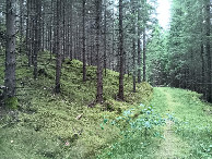 #10: track towards CP