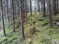 #3: Süden; view south