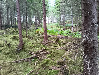 #4: Westen; view west