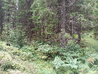 #7: CP from 25 meters