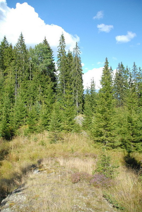 View to the point / Blick zum Confluence Punkt