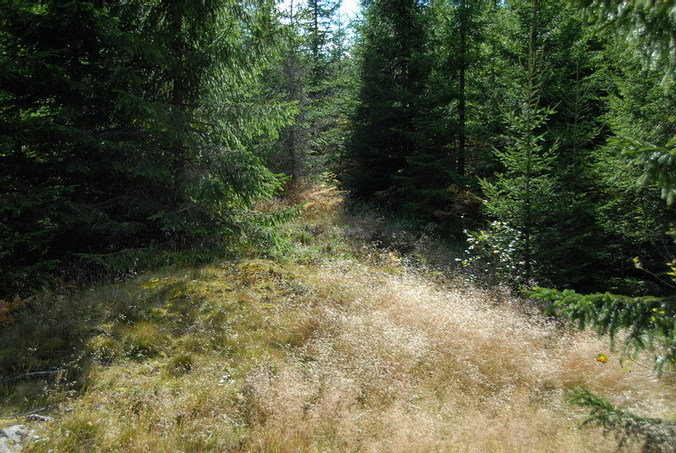 View west / Blick nach Westen