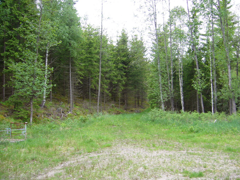 Parking place, overgrown way starts in the centre