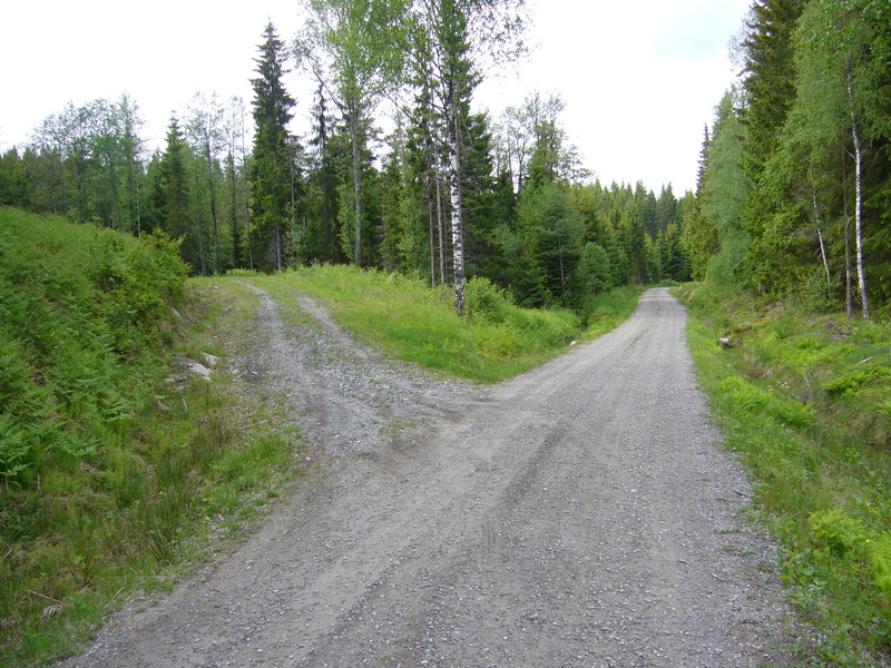 Fork to the parking place from the main forest road