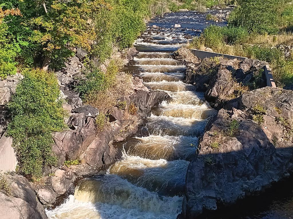salmon leap at Gullspang