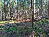 #2: Osten; view east