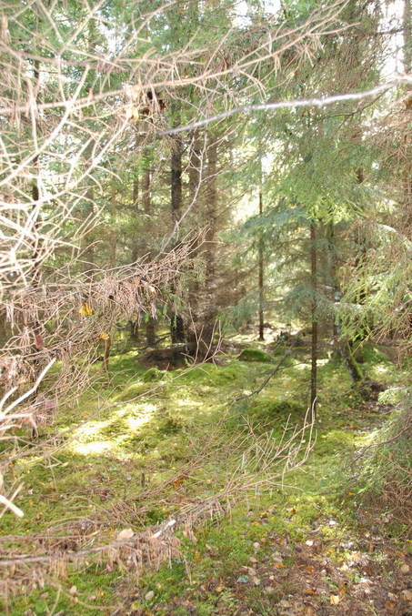 View to the point / Blick zum Confluence Punkt