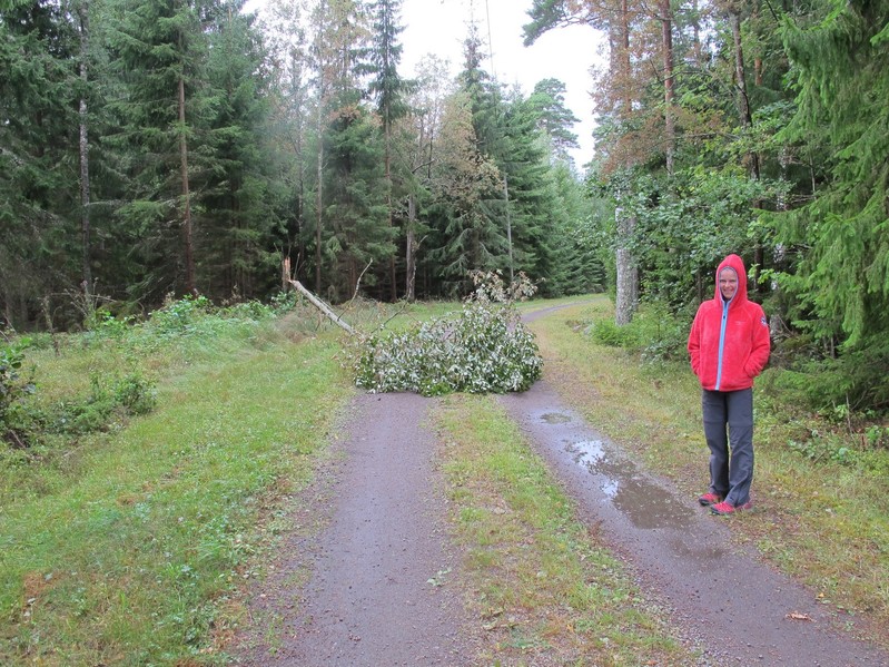 Blocked road