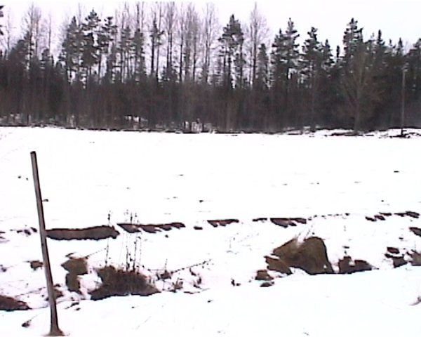 At the confluence, looking northwards