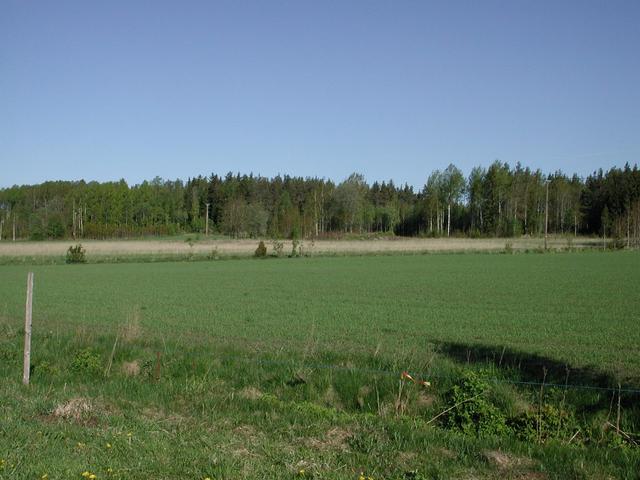 Facing north from the spot