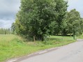 #8: View from road