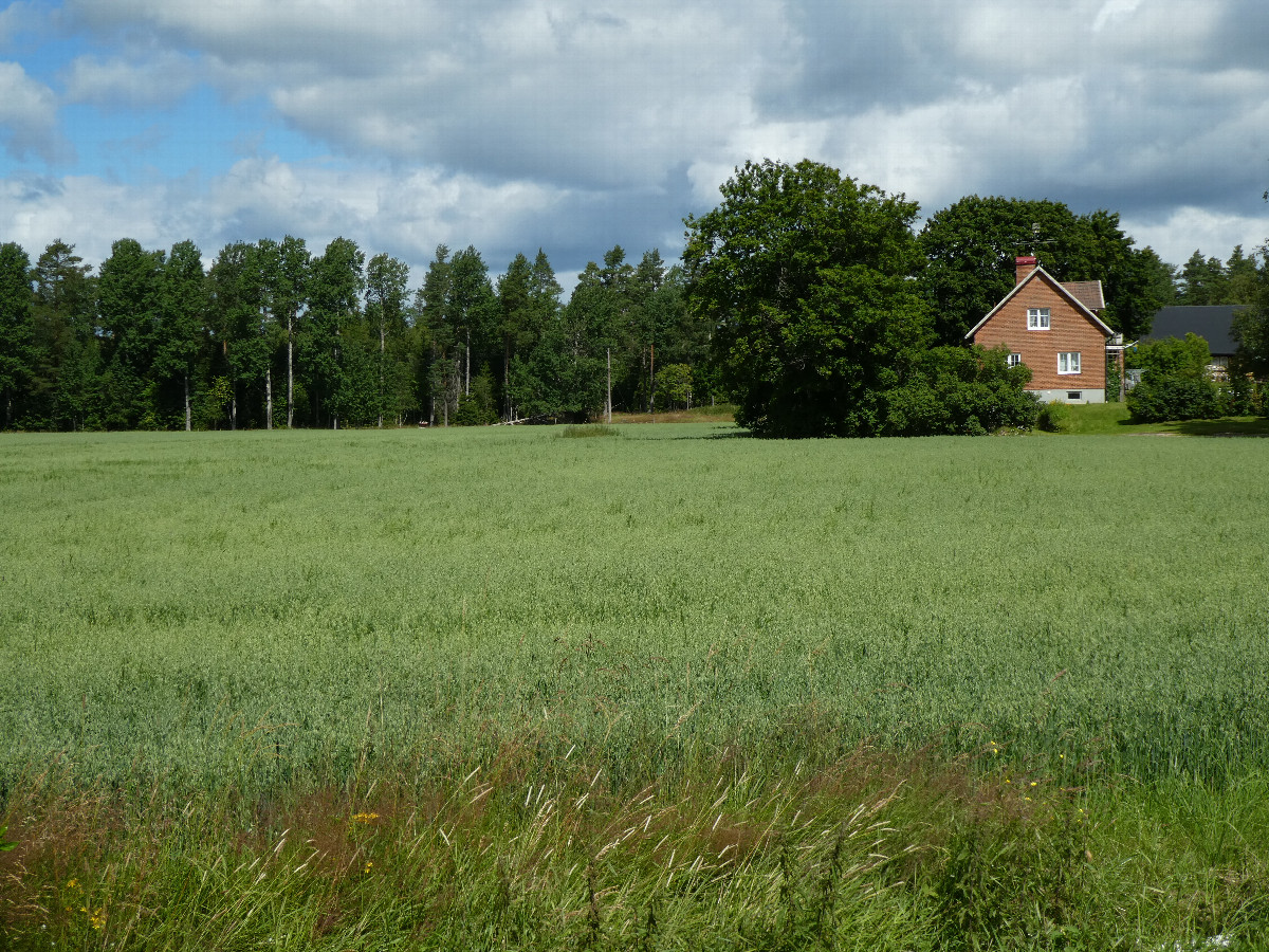 General view