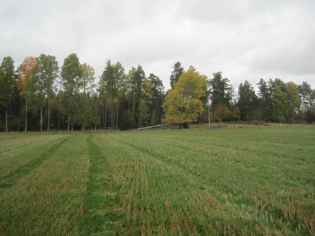 Norden; view north