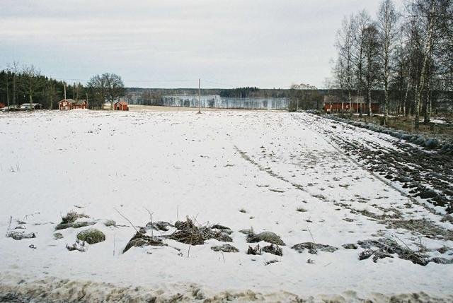View towards north from just outside of the forest
