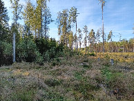 #3: Süden; view south