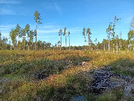 #4: Westen; view west