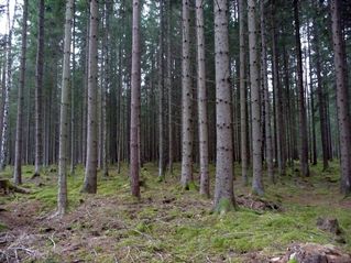 #1: North