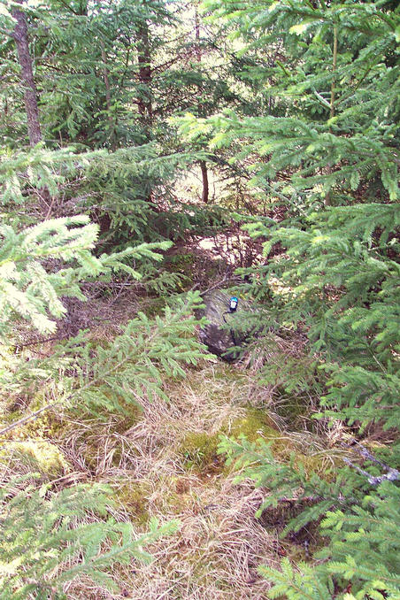 The confluence, viewed in direction west.