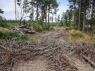 #12: View ToTurning Loop