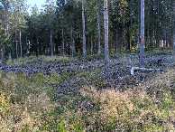 #2: Osten; view east