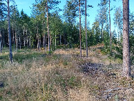 #4: Westen; view west