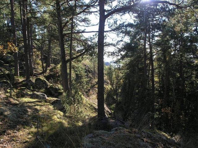 View south along the hillside towards the ocean bay