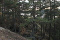 Visit #4: [01-Oct-14]