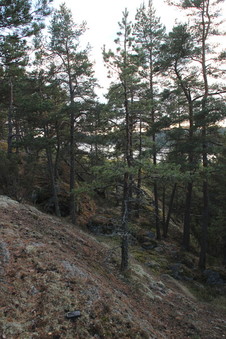 #1: view from above the CP, looking south