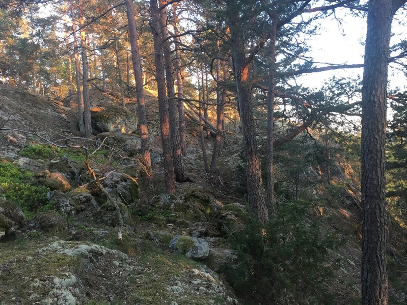 View to the South