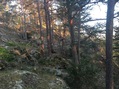 #4: View to the South