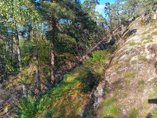 #1: Norden; view north