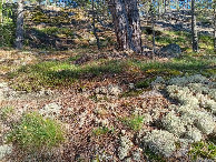 #2: Osten; view east