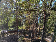 #4: Westen; view west